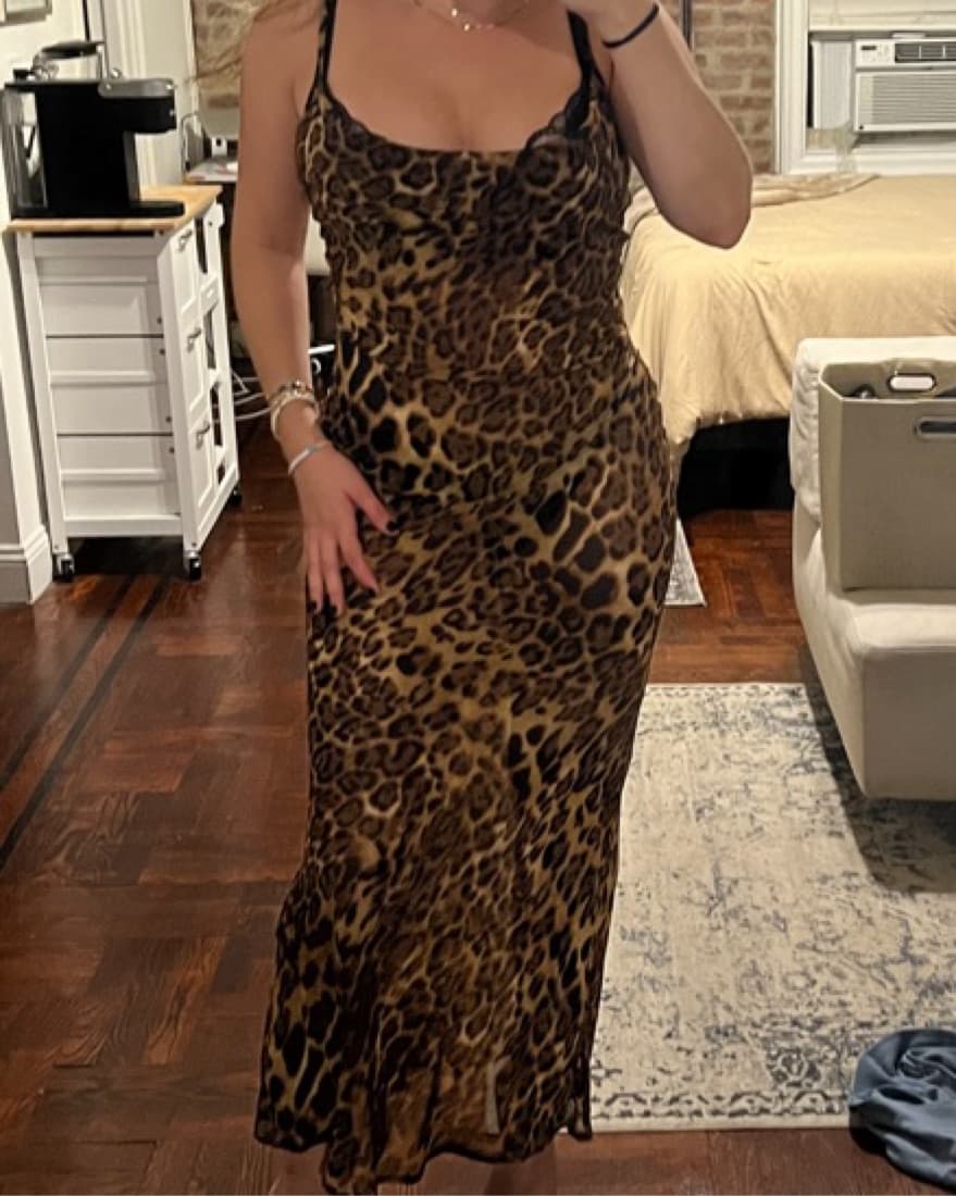 Sheer Leopard Print Maxi Dress - Image 1