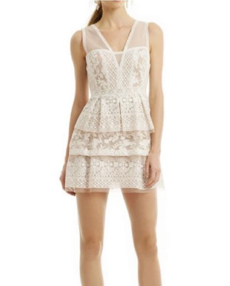 Pink Lace BCBGMaxAzria Dress - Image 1