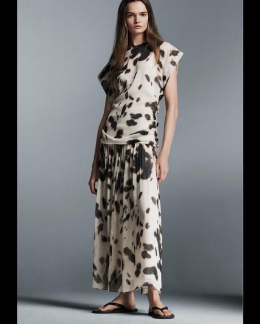 Zara Animal Print Drop Waist Dress  - Image 2