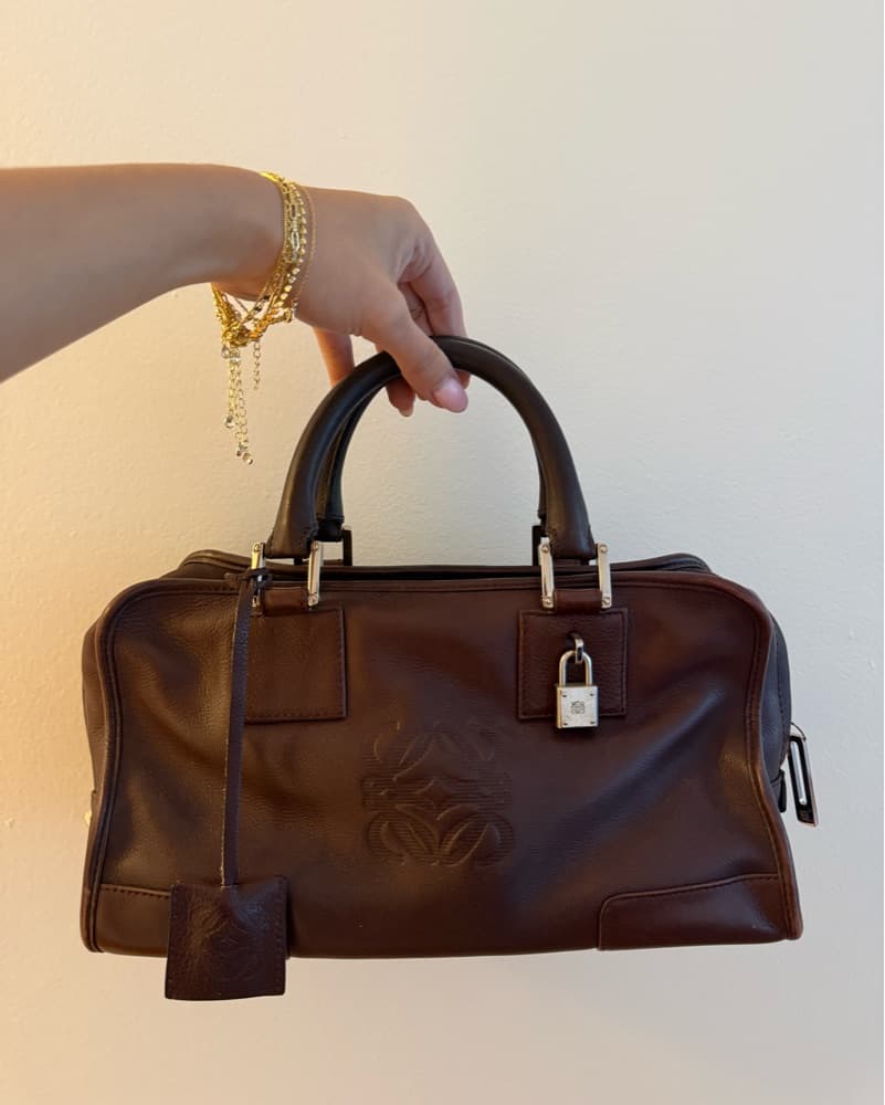 Loewe Amazona Bag - Image 2