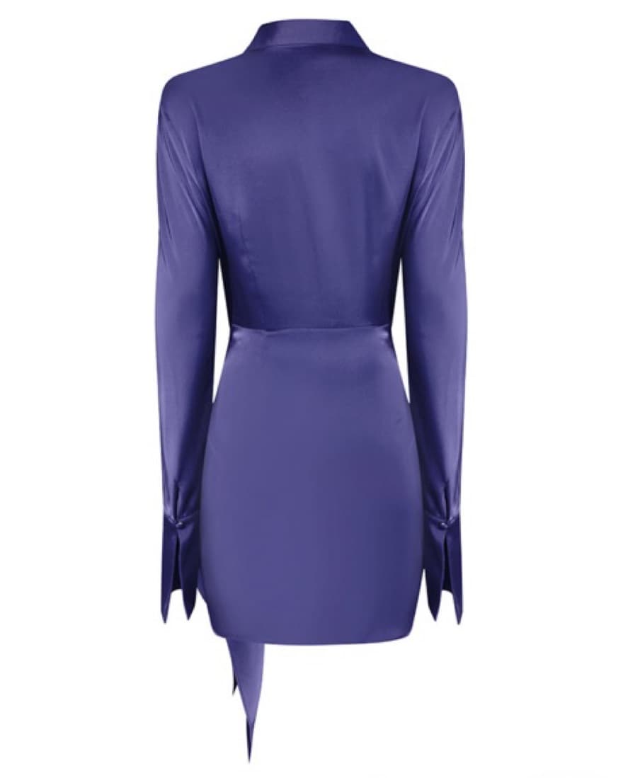 Rat & Boa Alanis Dress  - Image 3