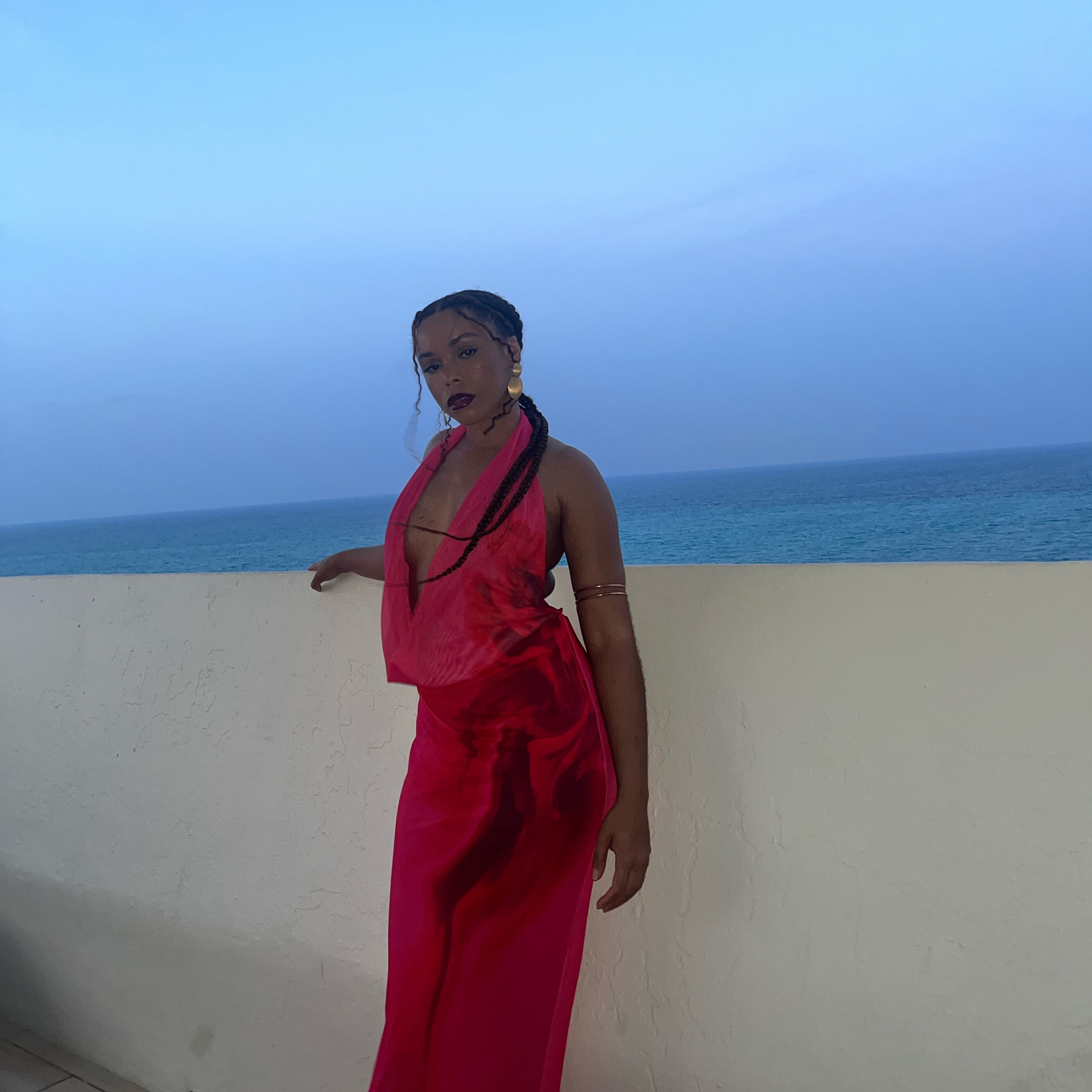 Zara Draped Tulle Halter Dress - Image 3