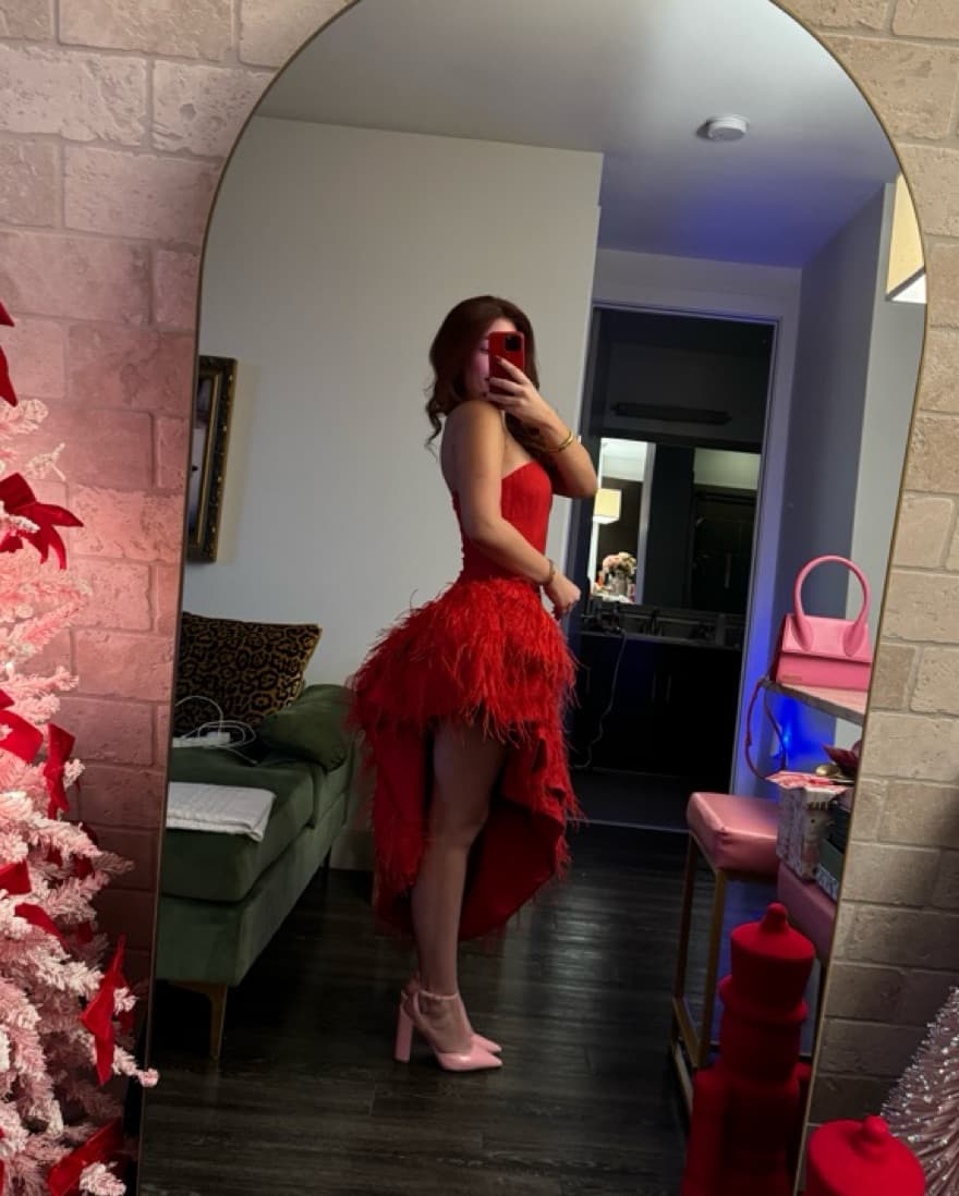 Cult Gaia Gosia Gown - Red w/ Feathers - Image 4