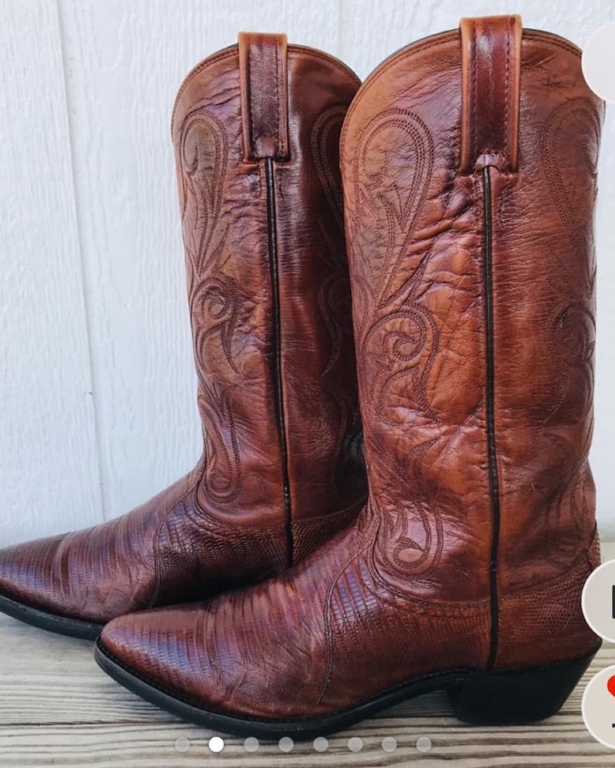 Dan Post - Lizard Cowboy Boots  - Image 1