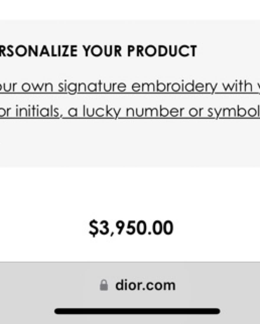 Dior Saddle Bag - Obilque Embriodery - Image 4