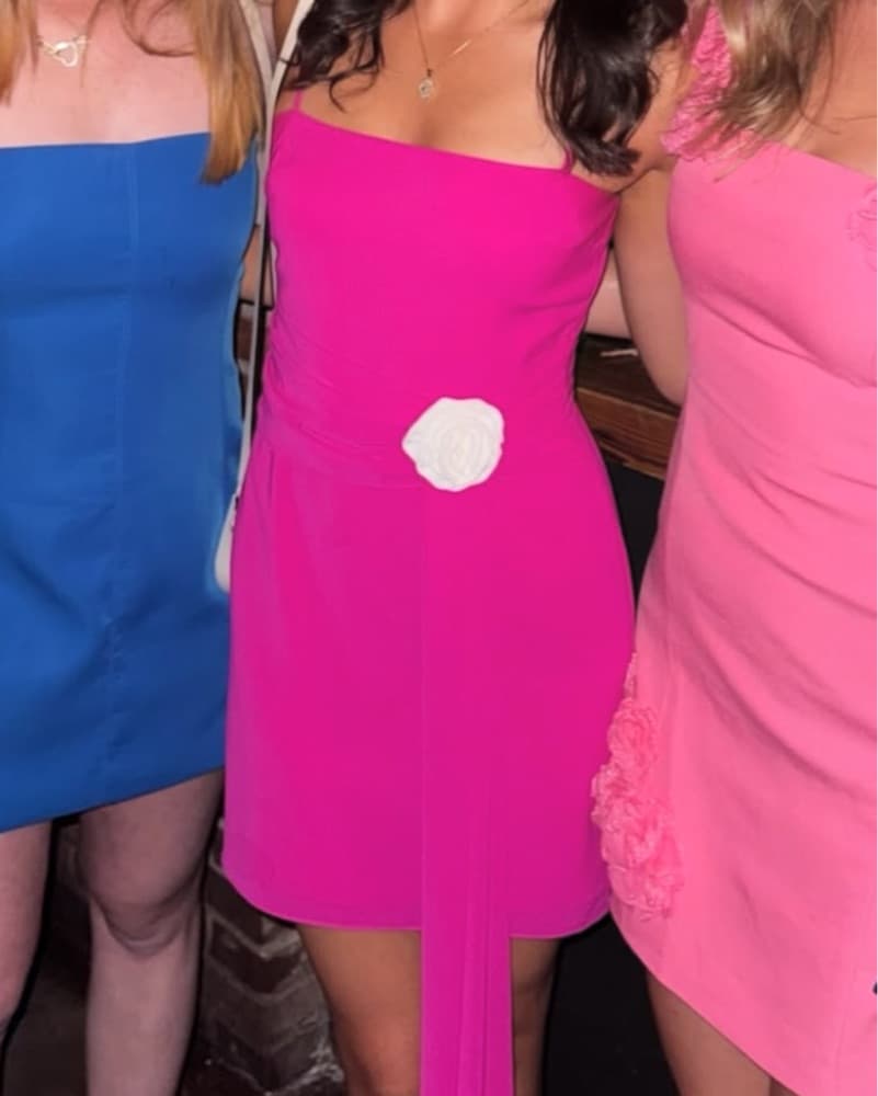Amanda Uprichard Pink Formal Dress - Image 2