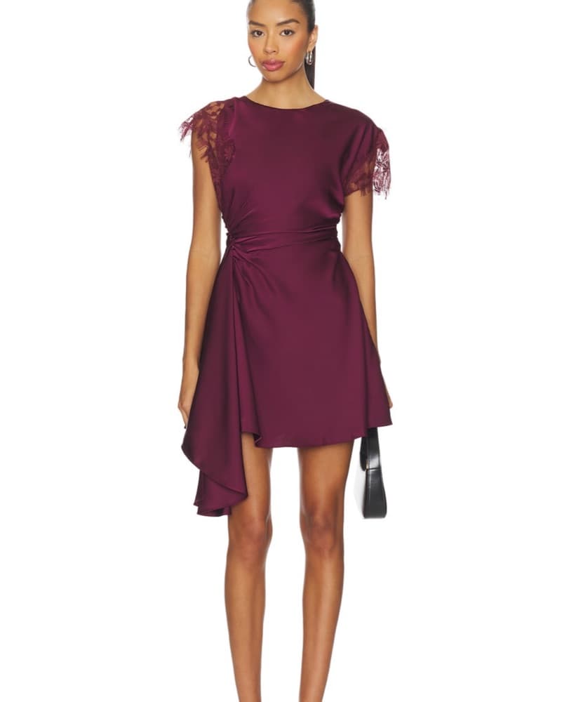 Amur Zina Ruched Mini Dress - Image 1