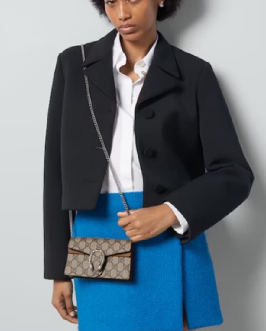 Gucci Dionysus Mini Bag - Image 1
