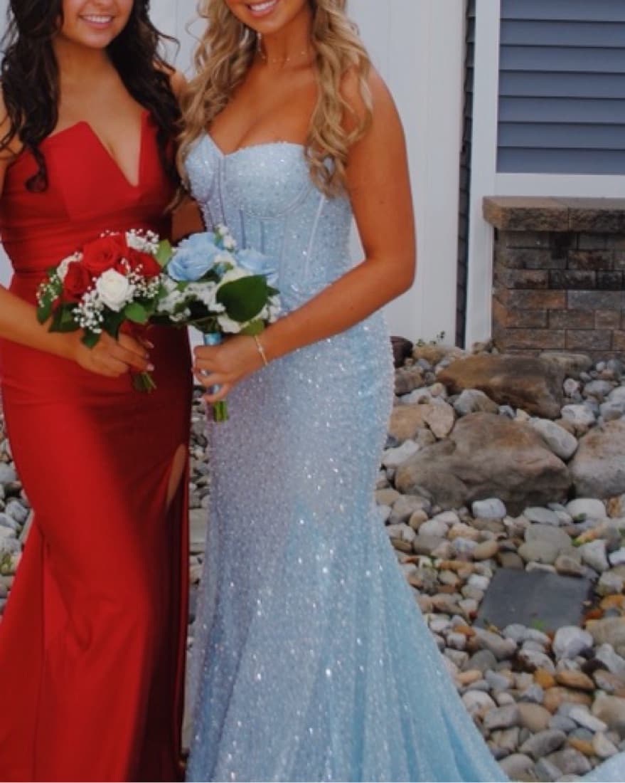  cinderella portia and scarlett - Image 2