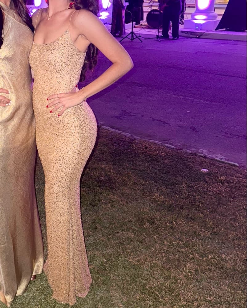 Gold Sequin Maxi Dress Gown - Image 4