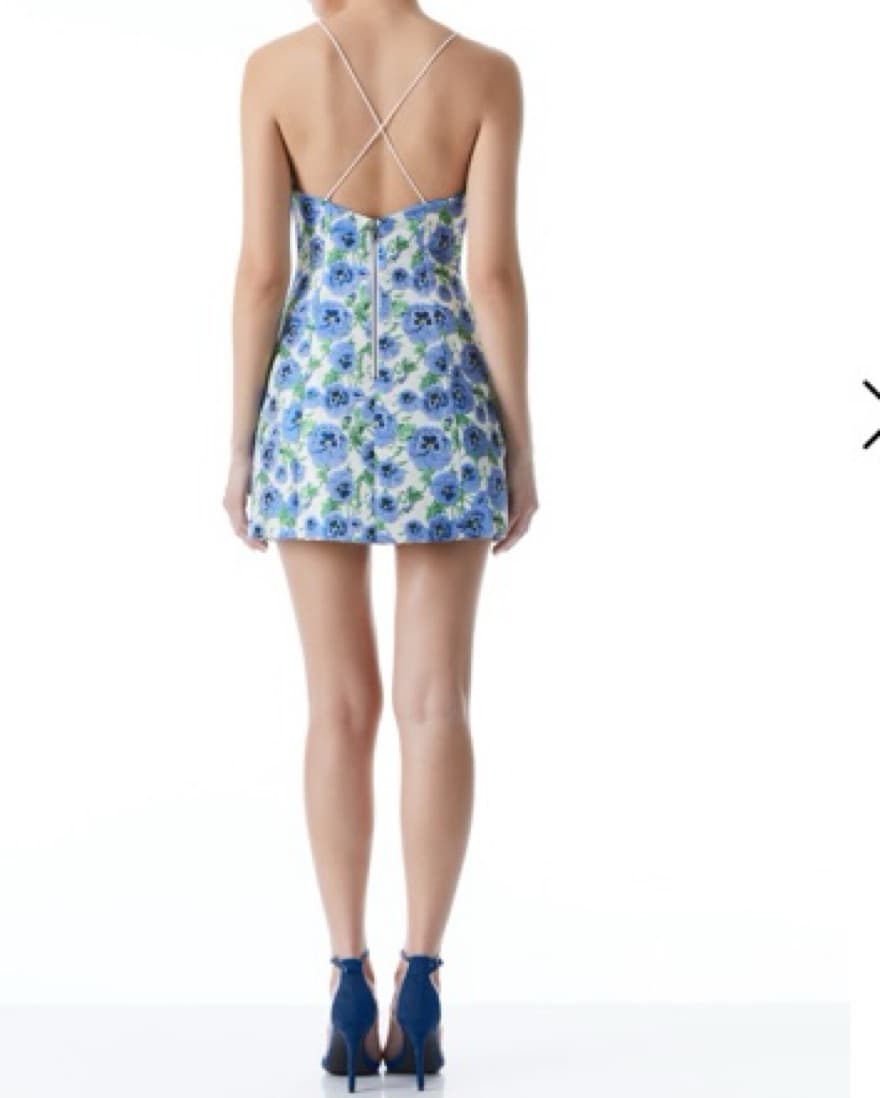 Alice + Olivia Tayla Lantern Mini Dress - Image 2