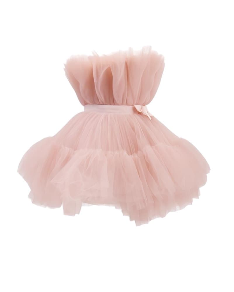 Giambattista Valli X H&m Tulle Dress - Image 4