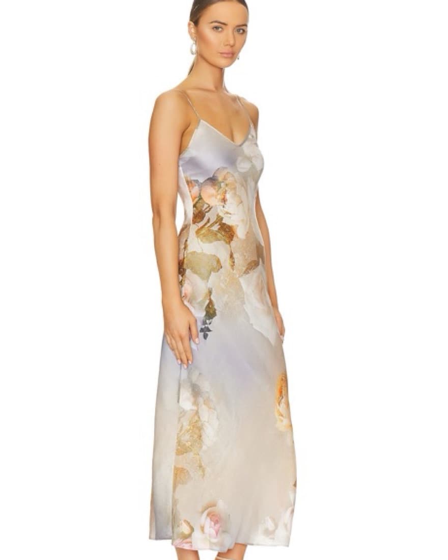 Allsaings Dress - Image 2