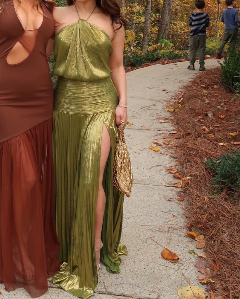 Retrofete Thalia Dress  - Image 5