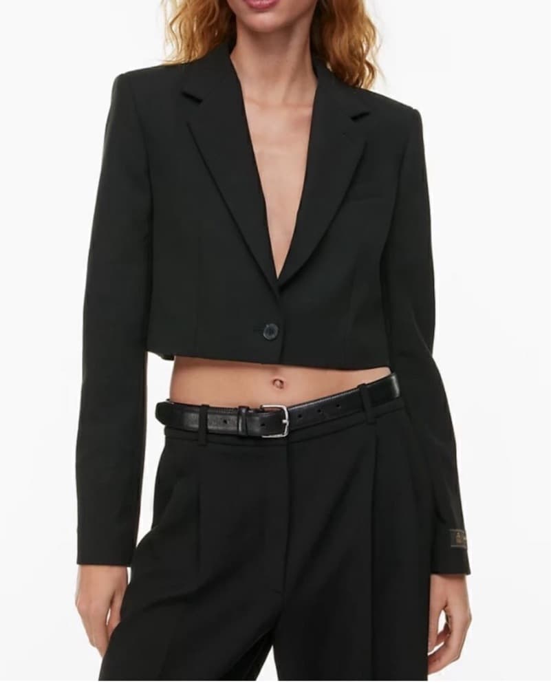Aritzia Babaton Black Cropped Blazer - Image 3
