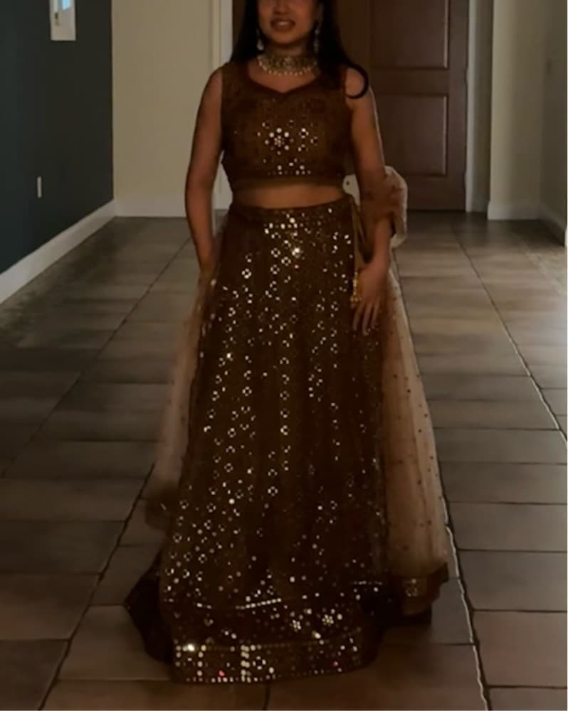 Brown/Gold Lehenga Choli - Image 1