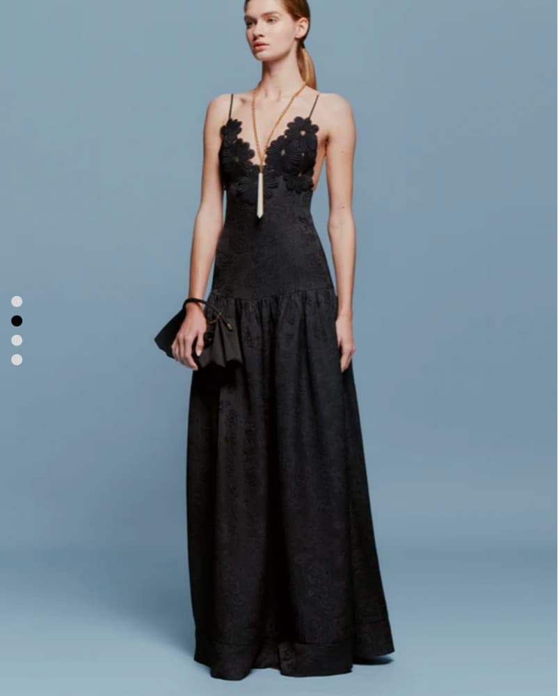 Sylvia Tcherassi Black Gown - Image 3