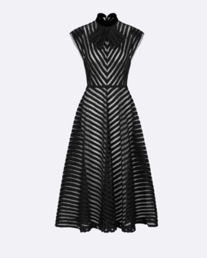 Dior Embroided Dress - Image 3