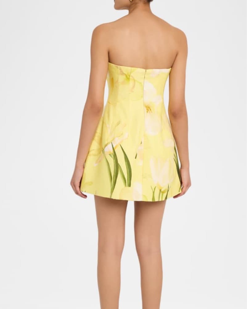 Cara Cara Ines Strapless Mini Dress - Image 2