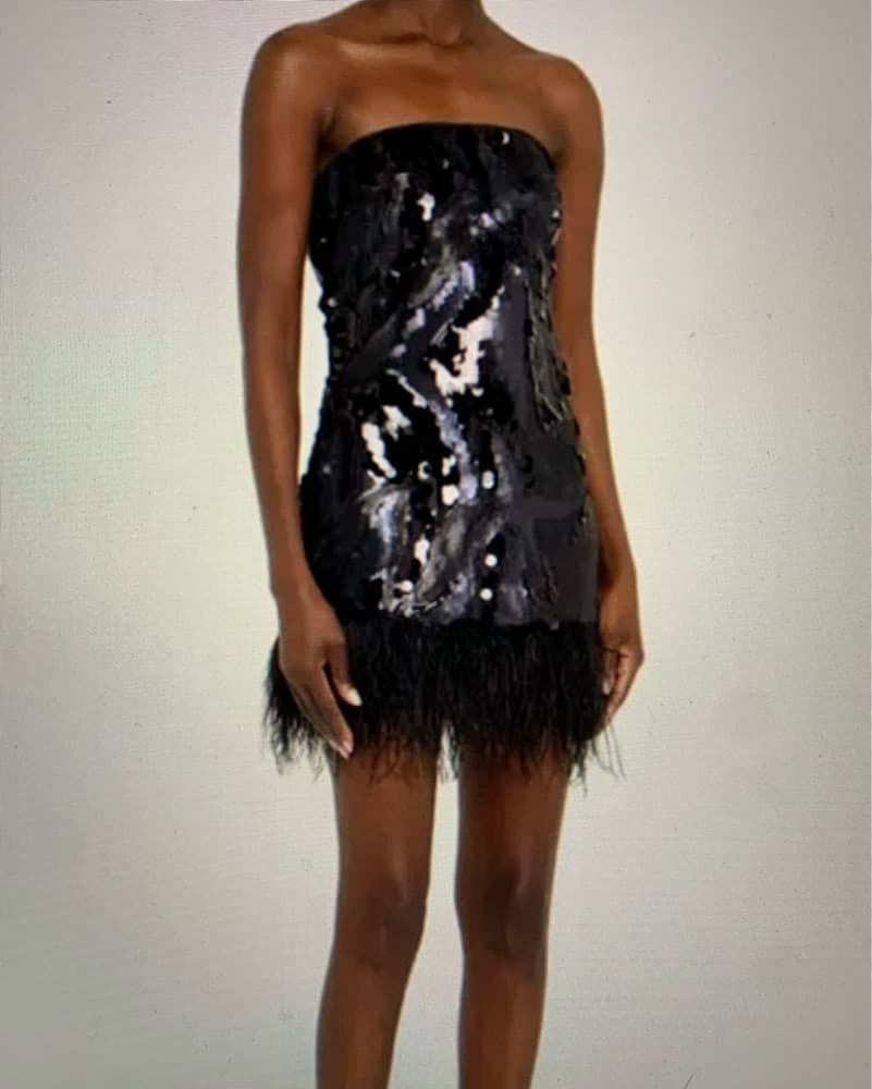Little  Black Dress Sequins Ostrich Trim - Image 2