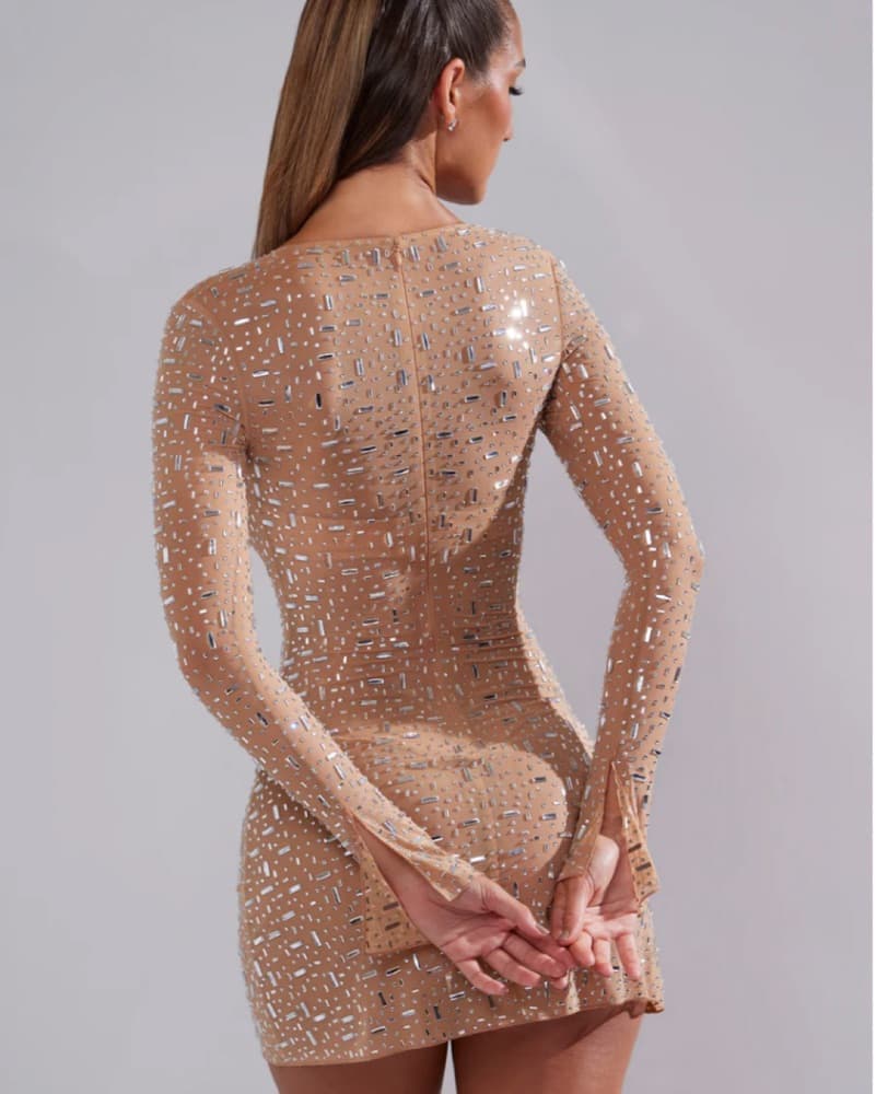 Sheer, Nude, Long Sleeve Mini Dress - Image 4