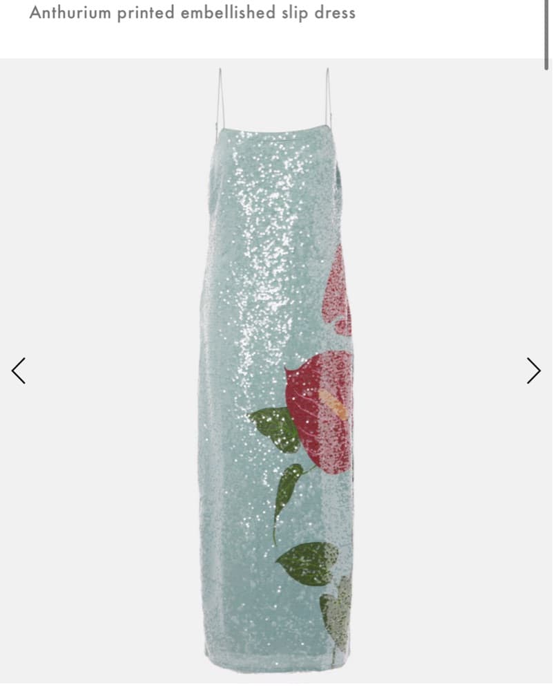 Farm Rio Slip Dress - Image 4