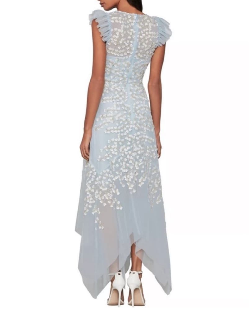 Embroidered Tulle Pale Blue Dress - Image 3