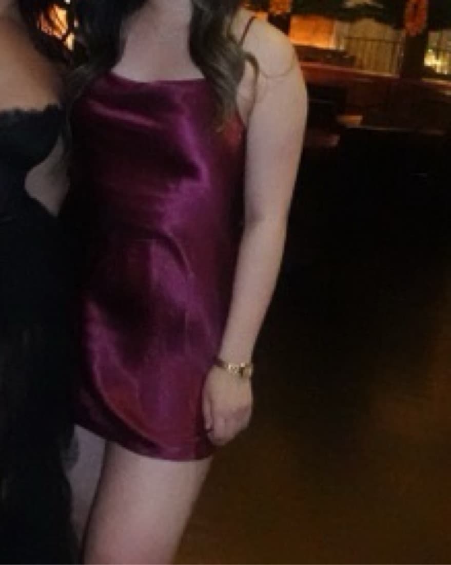Burgundy Aritizia Dress - Image 1