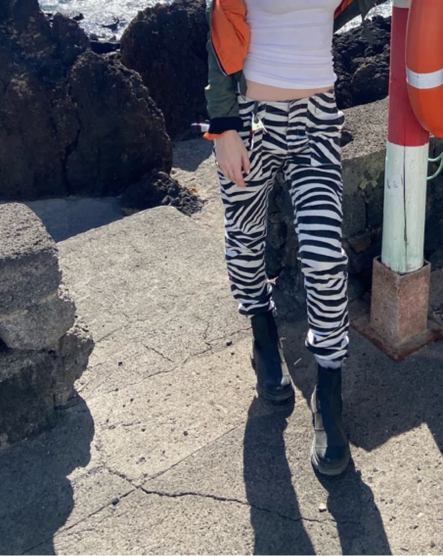 Nili Lotan Zebra Pant - Image 1