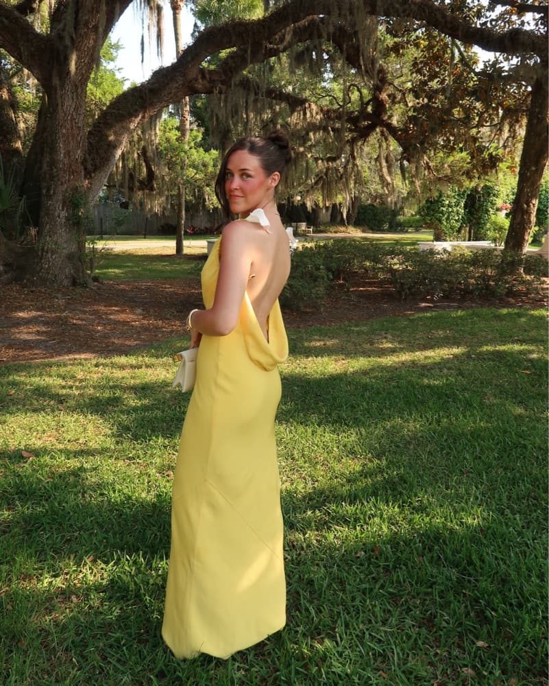 Cult Gaia Celestina Gown - Image 4