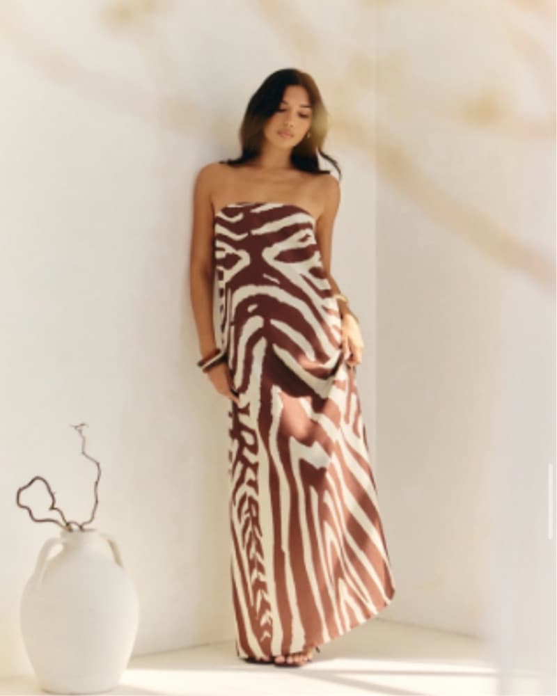 Zebra Print Maxi Dress  - Image 1