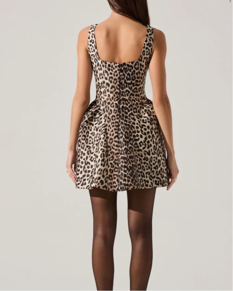 Astr Cheetah Mini - Image 3