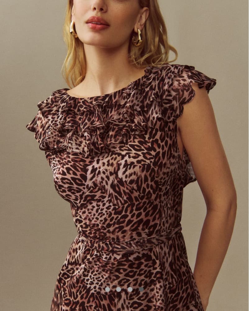 Rixo Formal Animal Print Dress - Image 4