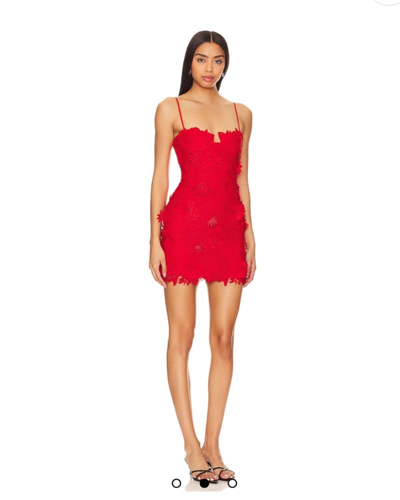Bardot Brias Mini Dress - Image 2
