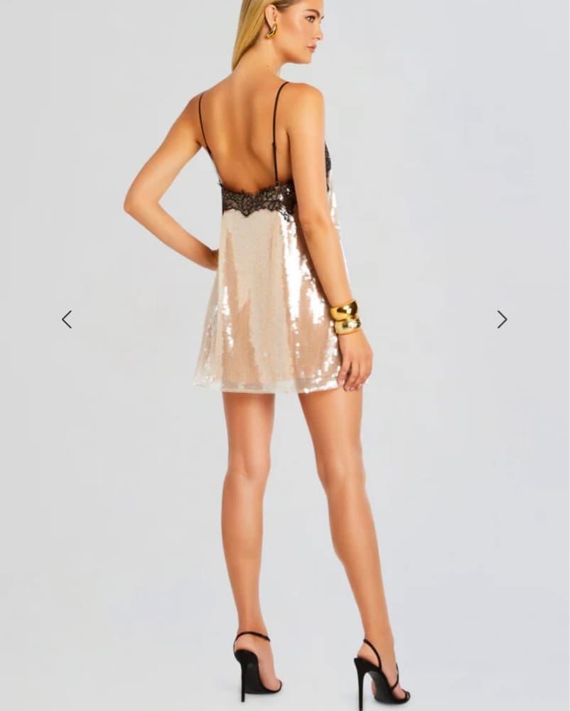 Retrofete Dress - Image 4