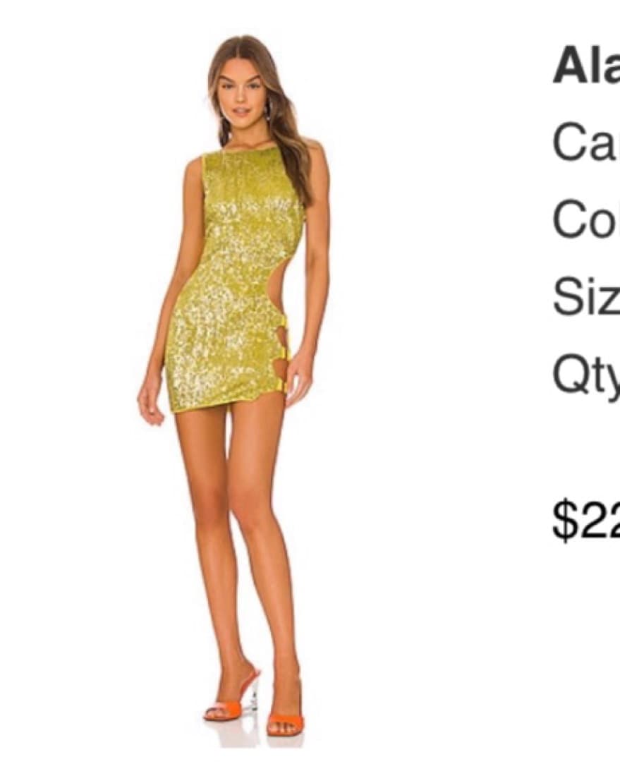 Camila Coelho Alana Mini Dress  - Image 3