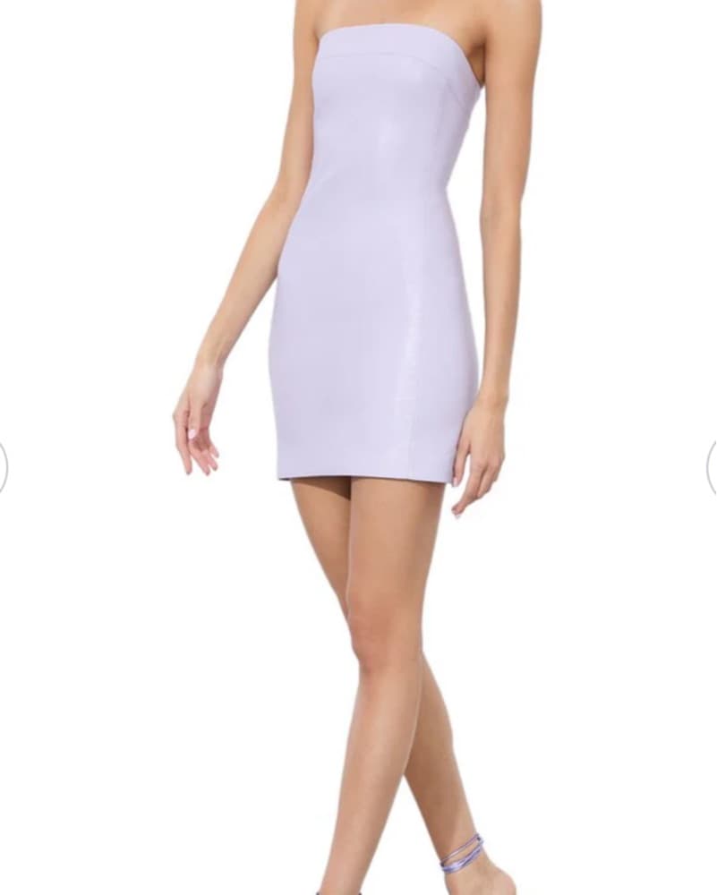 Mini Dress - Image 1