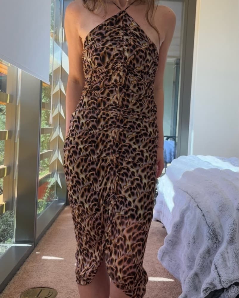 Isabel Marant Animal Print Midi Dress - Image 3