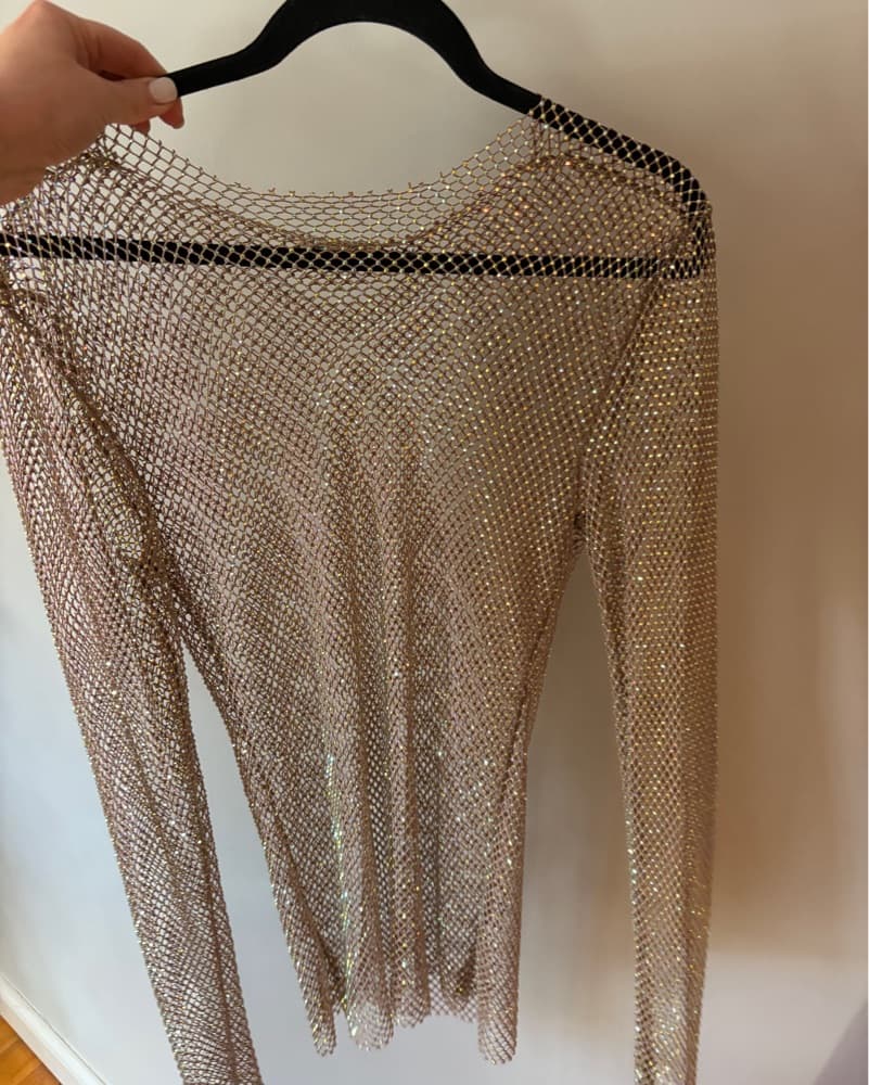 Freepeople Sparkle Mesh Longsleeve - Image 3