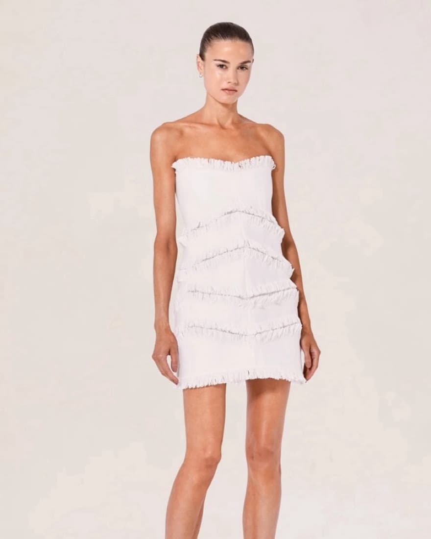 ALEXIS Fione Dress Small - Image 3