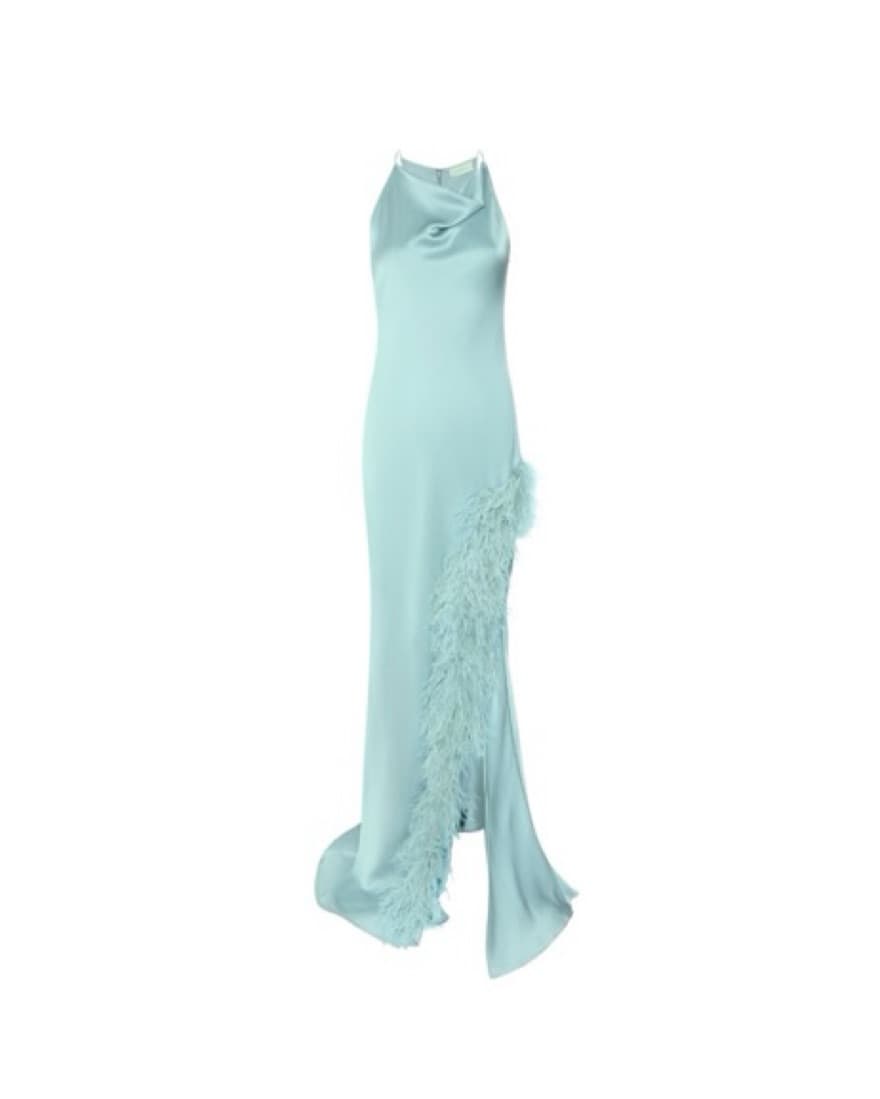 Lapointe Satin Gown with Feathers - Image 1