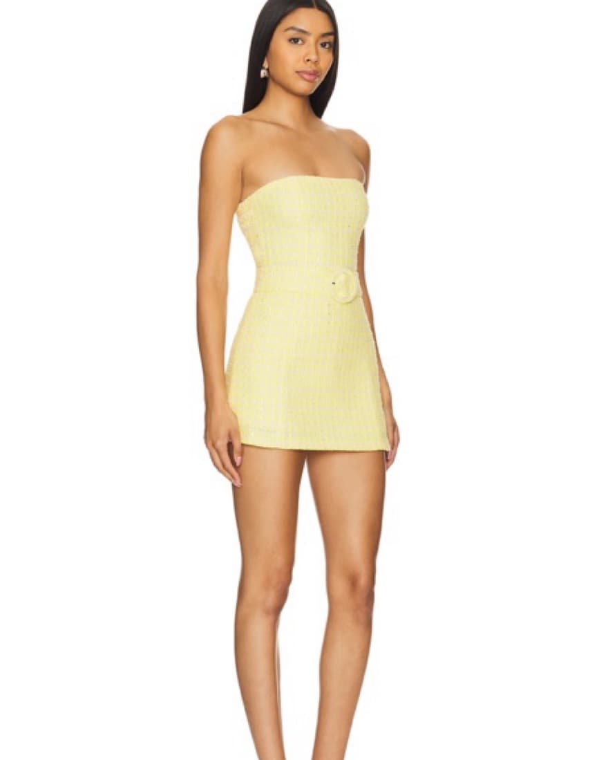X REVOLVE Amanda uprichard Fae Dress - Image 2