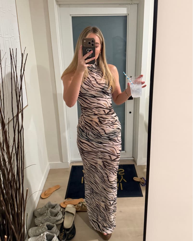 Superdown Angelika Sheer Dress - Image 4