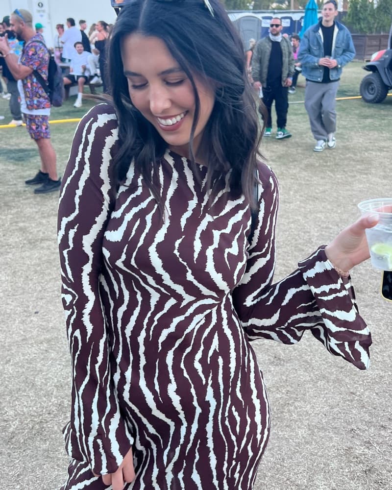 Realisation Par Gia Zebra Dress - Image 2