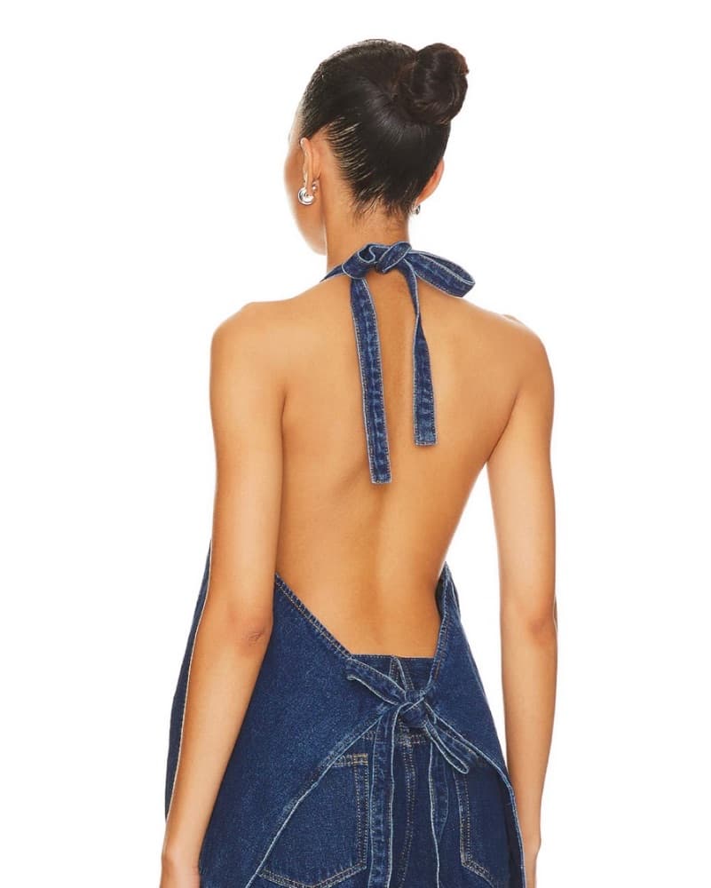 Lioness Hills Halter Top - Image 3