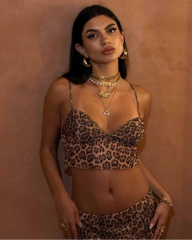 Leopard Print Crop & Maxi Skirt Set - Image 2