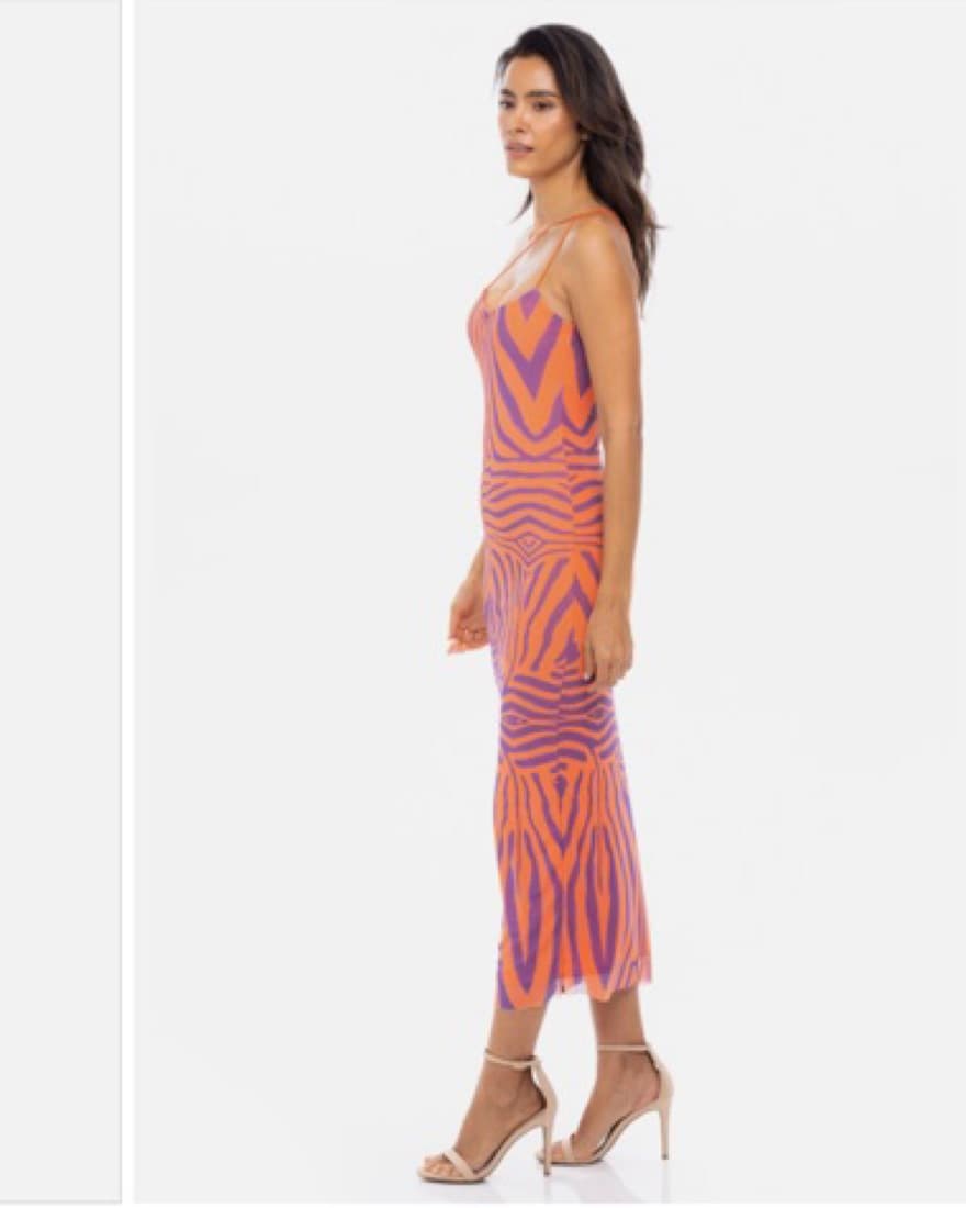 Analena Mesh Dress  - Image 1