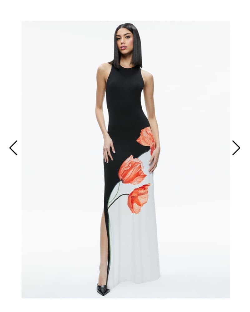 Alice + Olivia Pania Maxi Dress - Image 3