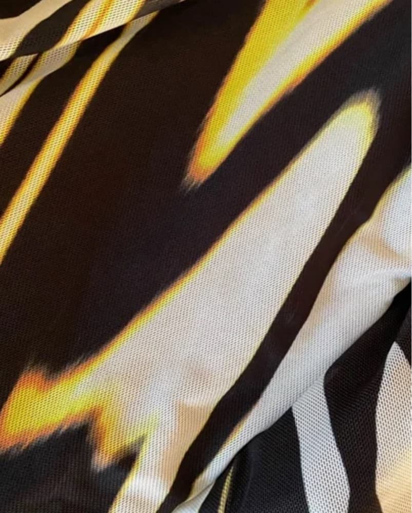 Long Sleeve Zebra Mesh Dress - Image 2