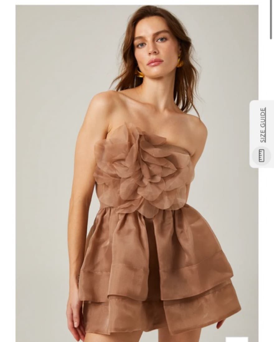 Miss Rosier Brown/Nude Mini Dress - Image 1
